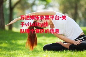 万达娱乐彩票平台-关于vitality战队哪个赛区的信息